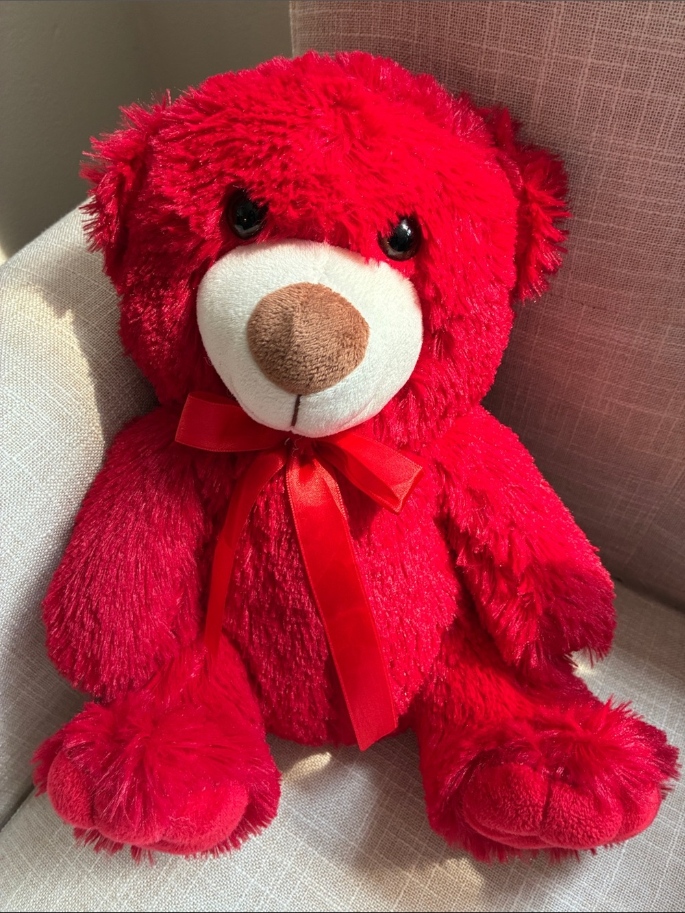 Plush Red Teddy Bear with Ribbon - Soft Stuffed Animal